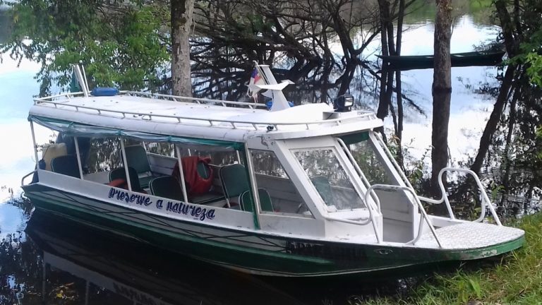 speedboat Ariranha-river-amazon forest