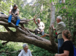 senior travellers-amazon forest-trees
