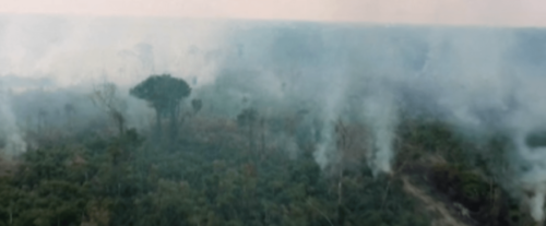 fire in the amazonian forest