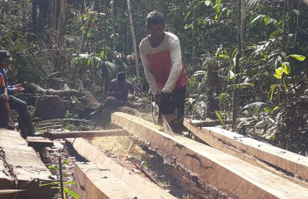 preparing wood for repairing lodge